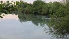 Blaualgen im Rathsee bei Delbrück-Bentfeld